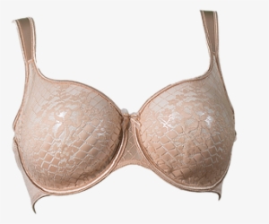 Empreinte Melody Seamless Lace Full Cup Bra - Brassiere #3598934