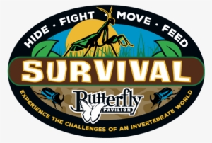 Survivor China #3599311