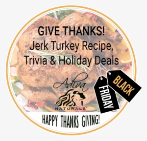 Happy Thanks Giving Jerk Turkey Recipe, Trivia And - Poster #3599443