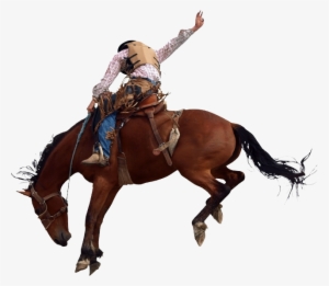 Cowboy On Horse Png #360127