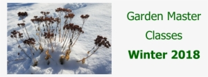 Garden Master Class Catalog Winter 2018 - Snow #360272 Garden Master Class Catalog Winter 2018 - Snow #360272