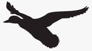 Flying Duck Cliparts - Flying Ducks Silhouette Png #360864