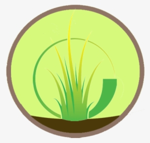 Ornamental Grasses - Circle #361056