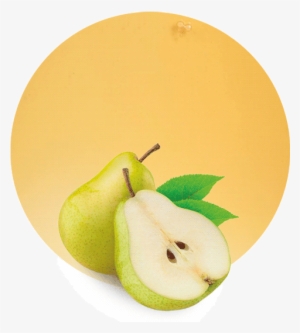 We Offer A Tailored Shipping Service - Apples & Pears #361116