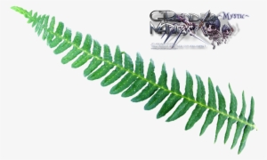 Liked Like Share - Clip Art #361606