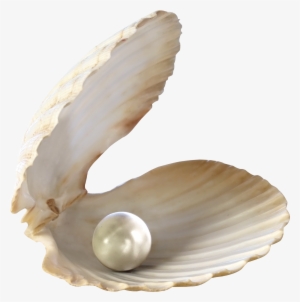 Pearls Of Wisdom: 30 Inspirational Ideas To Live Your #361780