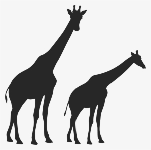 Image Freeuse Huge Freebie Download For - Transparent Giraffe Silhouette #361888