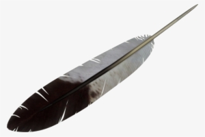 Download - Transparent Background Feather Clipart #361910