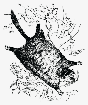 ????????????ai PNG, Transparent ????????????ai PNG Image Free Download , Page 3 PNGkey