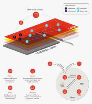 Ceno2 Infographic - Ceno2 #362177