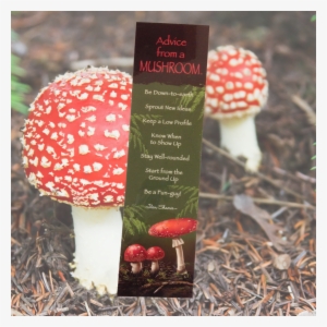 Advice From A Mushroom Bookmark - Toadstool Mushroom #362194