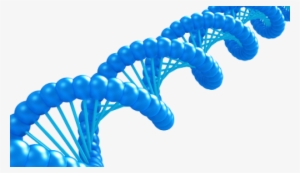 Dnacomputing - Transparent Gif Of Dna #362459