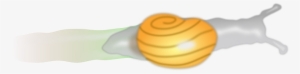 Snail, Shell, Trail, Moving, Slow, Slime - Snail #362948