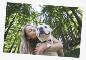 Smiling Pitbull With Healthy Paws Puppy Insurance - Dog #363056