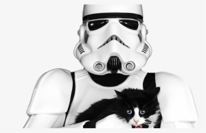 Stormtrooper-geekie - Meme #363404