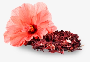 Onions - Rosemallows #363530