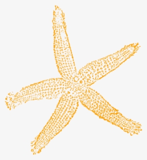 Best Free Images Clipart Starfish - Fish Clip Art #363762