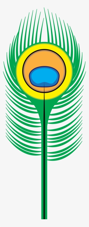 How To Set Use Peacock Feather Clipart #364415