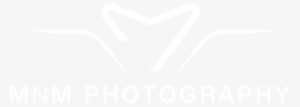 Indian Wedding Photographers In Houston - Nagarjuna #364589