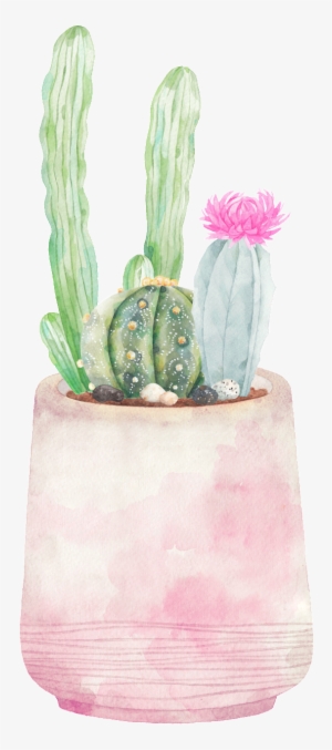 Hand-painted Three Varieties Of Cactus Png Transparent - Cactus #364739