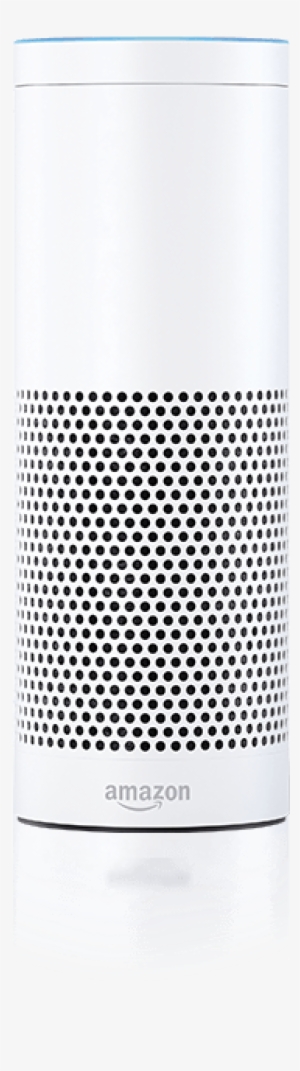Amazon Echo - Lampshade #364802