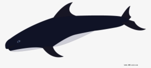 Download Bitmap Picture Pygmy Killer Whale - Pygmy Killer Whale #365094