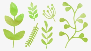 Free Vector Free Watercolor Natural Elements - Watercolor Painting #365905