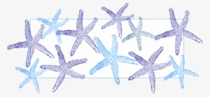 Blue Starfish Svg Clip Arts 600 X 279 Px #366429