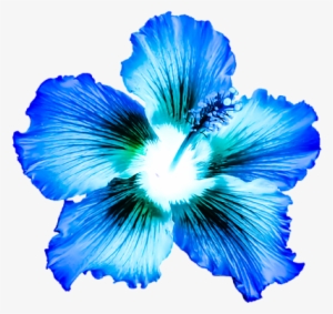 Bleed Area May Not Be Visible - Blue Hibiscus #366950