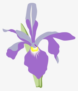 Flowers PNG, Transparent Flowers PNG Image Free Download , Page 6 - PNGkey