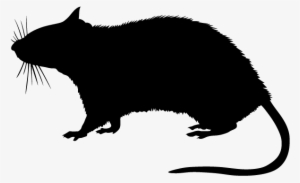 Rats In Minnesota Homes And Offices - Silhouette Of A Rat #367606