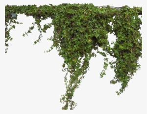 Go To Image File - Green On Wall Png #367850