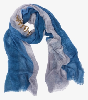 Classic Scarf - Argentina - Scarf #368718