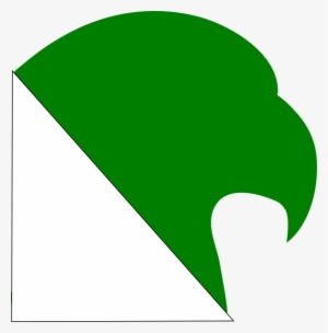 Hawk Logo Green #368991