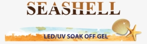 Seasheel - Without Reason: A Family Copes With Two Generations #369165