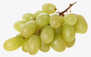 Grape With Transparent Background #369510