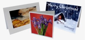 Greeting Cards - Printed Photo Greetings Cards #3600011