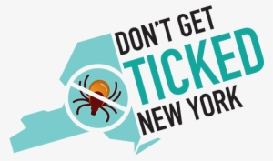 Logo Design - New York City - Insight Flexi Maps #3602285