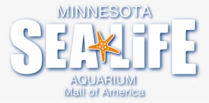 Jabber Logic Sea Life Aquarium Case Study - Sea Life Aquarium Poster #3602372