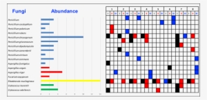 Spatial Distribution Of Cultivable Fungal Diversity - Wells Sinkware 16.13" X 1" Sink Grid #3603189