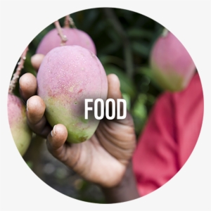 Wwf News - Fruit #3604796
