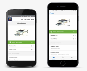 App #3605001 App #3605001