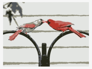 Northern Cardinal #3606075