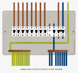 Electrical Wiring Colours For Lights Fresh New Cable - 3 Phase Distribution Board #3606367