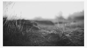 Ccm-ground #3606590