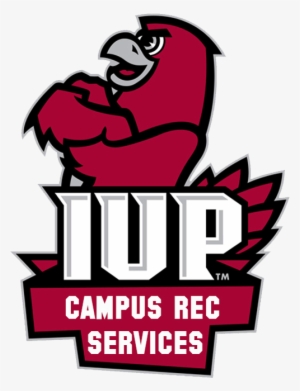 Fitness Clipart Intramurals - Indiana University Of Pennsylvania #3606947