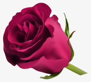 Pink Rose Png Clip Art #3607319