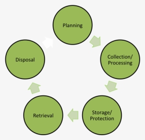 The Unsw Biorepository Has The Knowledge And Infrastructure - Ab Testing Process Cycle #3608742