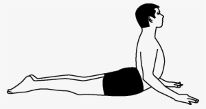 Bhujangasana - Bhujangasana Clipart #3609483 Bhujangasana - Bhujangasana Clipart #3609483