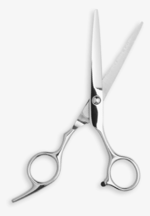 Salon Experience - Scissors #3611035
